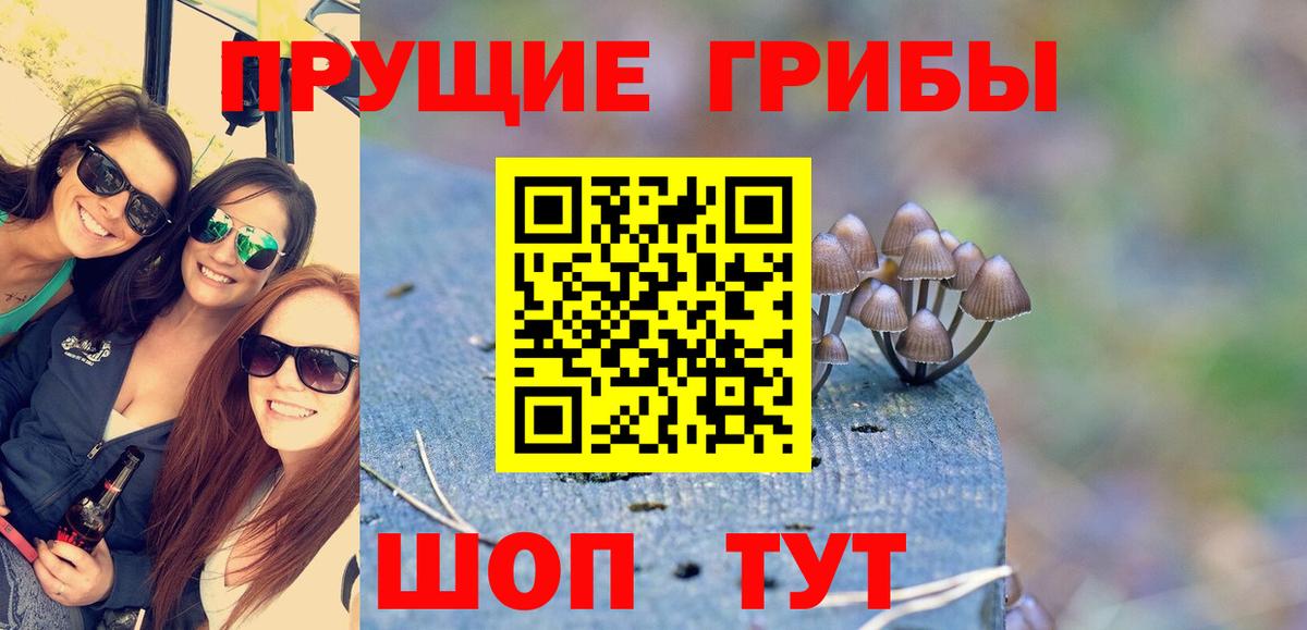Гай  Галлюциногенные грибы GOLDEN TEACHER  Вход с VPN 